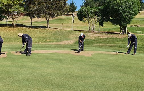 Canchas de Golf