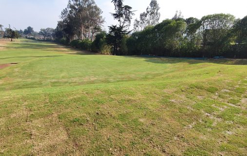 Avance de los trabajos en la cancha de golf (agosto)